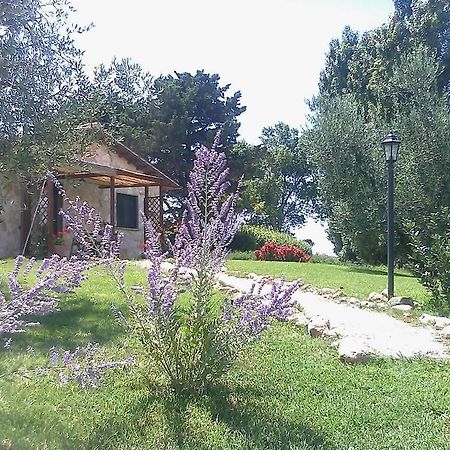 Villa Casale Dinelli Tarquinia Habitación foto