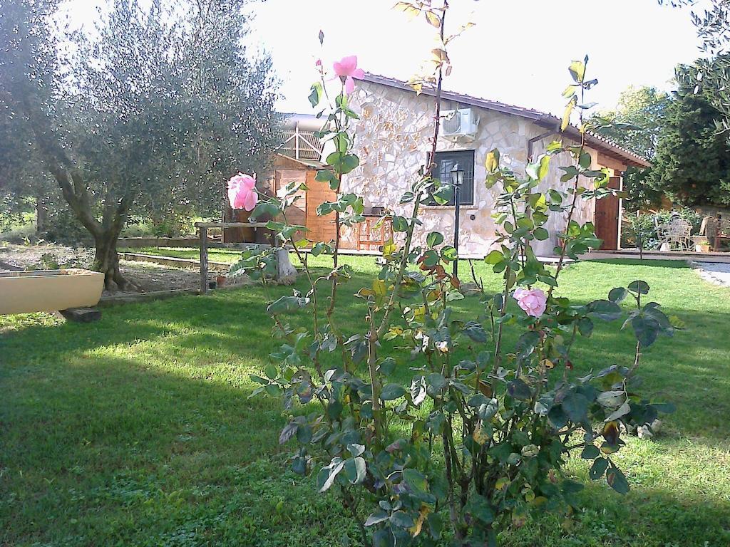 Villa Casale Dinelli Tarquinia Habitación foto