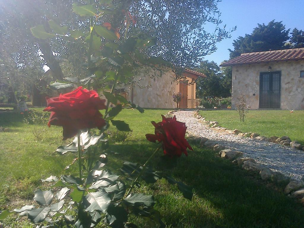 Villa Casale Dinelli Tarquinia Habitación foto