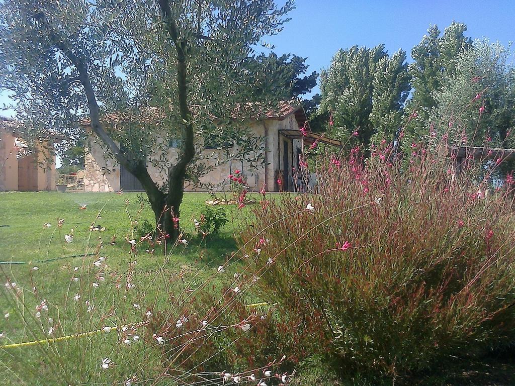 Villa Casale Dinelli Tarquinia Habitación foto